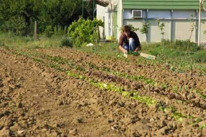 Rh Ne Alpes Tester Son Projet Agricole En Espace Test Biofil